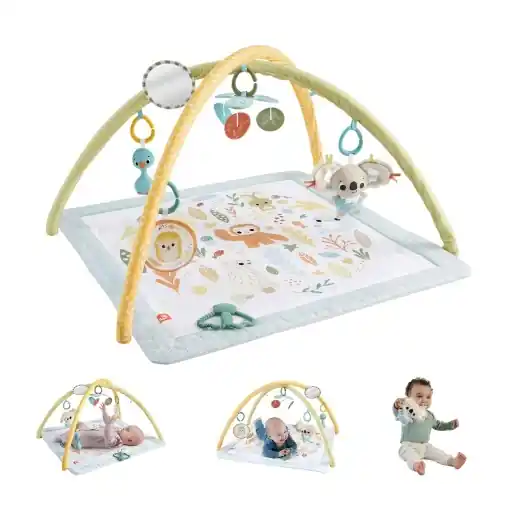 Fisher-Price Simply Senses JMN74 Salteluta de Joaca pentru Bebelusi cu Activitati Sensoriale Cel mai bun preț