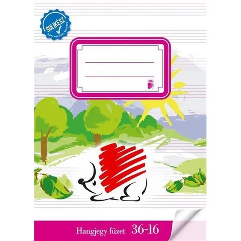 ICO A5 36-16 caiet muzical Discount
